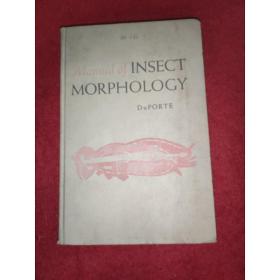 Mannal of Insect Morphology 昆虫形态学