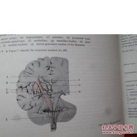【香港理工大学馆藏】Module B3 Braln spinalcord Module B4 Comparative motor systems(脑脊髓模块)