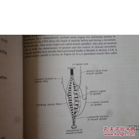 【香港理工大学馆藏】Module B3 Braln spinalcord Module B4 Comparative motor systems(脑脊髓模块)