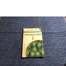 袖珍西瓜亩创4000元关键技术