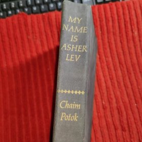 My Name is Asher Lev【原版 ！毛边！！精装！！！】