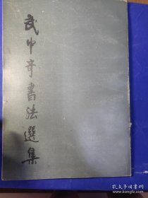 武中奇書法選集