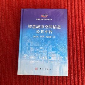 智慧城市理论与技术丛书：智慧城市空间信息公共平台