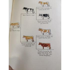 Breeding Profitable Dairy Cattle: A New Source of National W