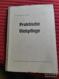 PRAKTISCHE VIEHPFLEGE实用畜牧饲养