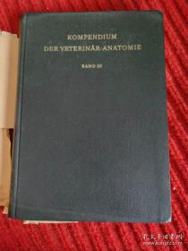 Kompendium Der Veterinär-Anatomie兽医解剖学纲要3