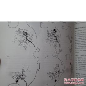 【香港理工大学馆藏】Module B3 Braln spinalcord Module B4 Comparative motor systems(脑脊髓模块)