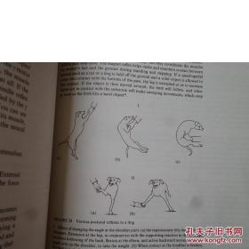 【香港理工大学馆藏】Module B3 Braln spinalcord Module B4 Comparative motor systems(脑脊髓模块)