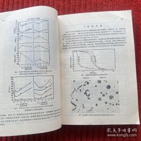 铸铁冶金学:第二届国际铸铁基础理论研究论文集