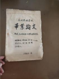 文山县老君山竹类调查研究——昆明农业学院毕业论文