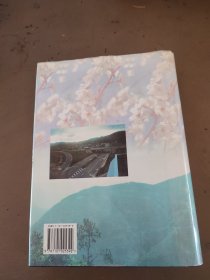 龙陵县志