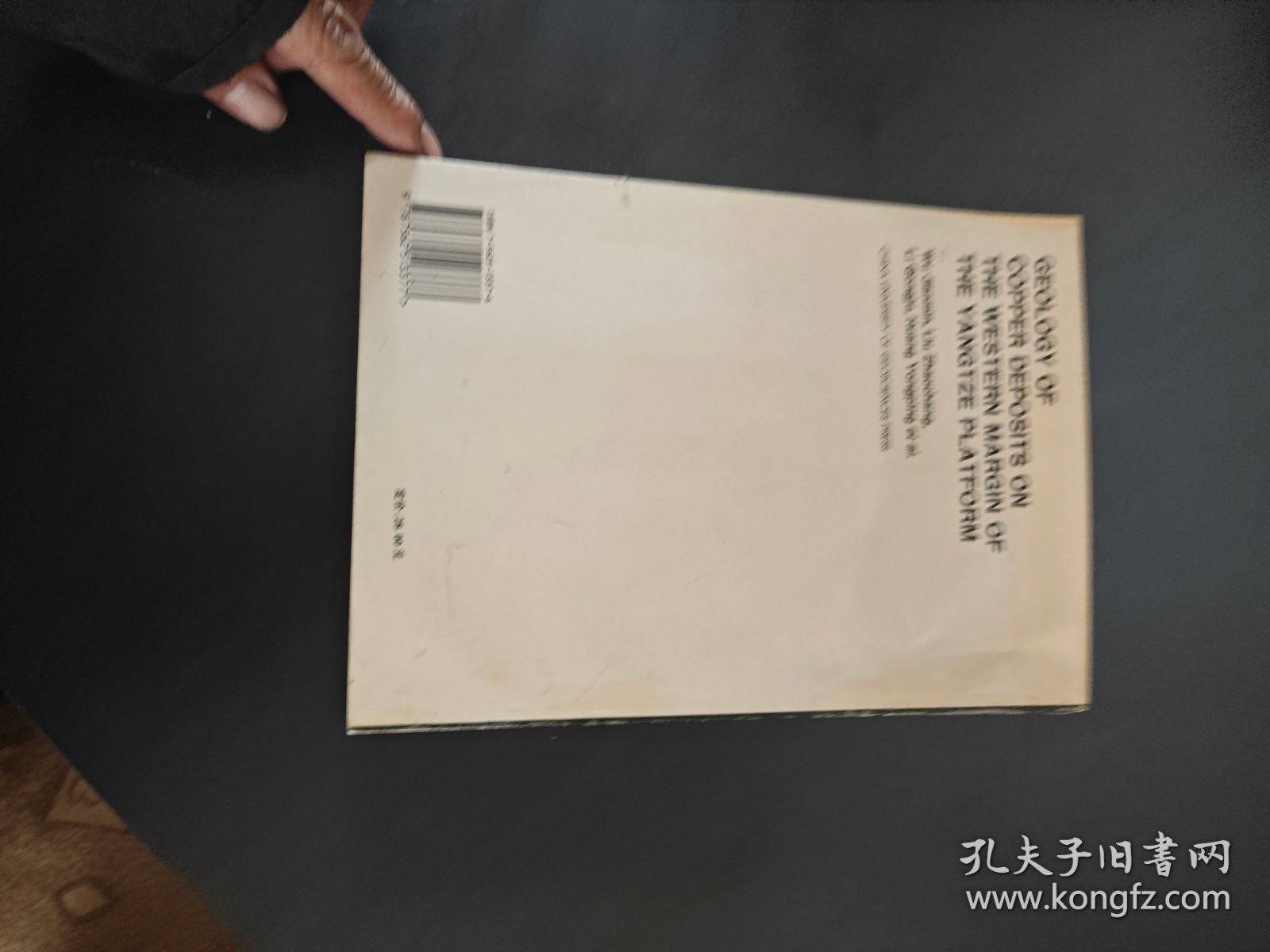 扬子地块西缘铜矿床地质