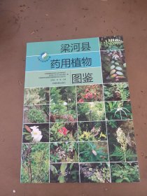 梁河县药用植物图鉴