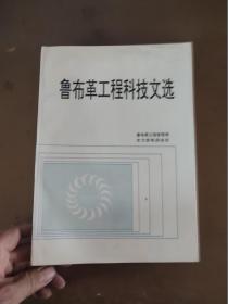 鲁布革工程科技文选