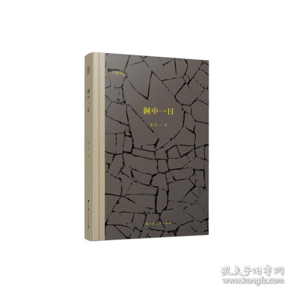 【正版新书】洞中一日