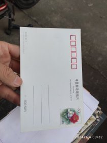 中国特大溶洞龙岩龙硿洞 60分邮资明信片