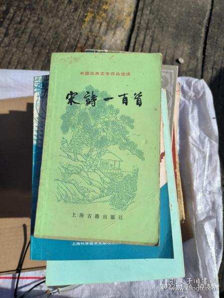 宋诗一百首 （中国古典文学作品选读）