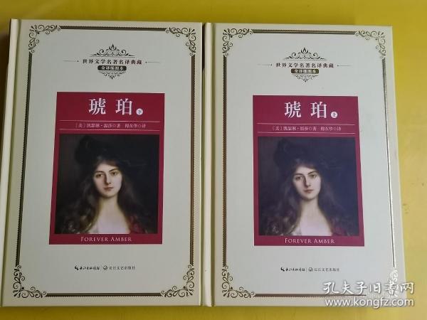 世界文学名著名译典藏全译插图本：【琥珀】上下册  [美]凯瑟琳·温莎 著；傅东华 译 / 长江文艺出版社 / 2018-05 / 精装