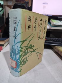 二手正版 中国古典小说艺术鉴赏辞典 段启明  9787303011193