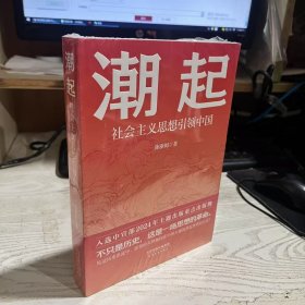 二手正版九品未拆封 潮起: 社会主义思想引领中国 陈浙闽 天津人民出版社9787201207285