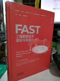 二手正版 FAST工程勘察技术理论与实践 朱博勤 湖北科学技术出版社  9787570601202