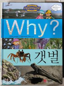 二手韩文原版童书 Why？갯벌 海滩 에림딩