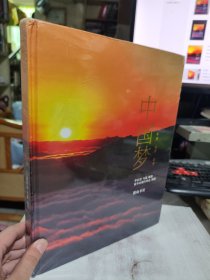 全新正版未拆封 中国梦（中文版） 李红岩、马磊 著 9787546143668