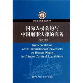 国际人权公约与中国刑事法律的完善  正版二手9787565301384