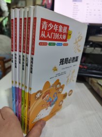 二手正版 青少年象棋从入门到大师（全6册）儿童象棋基础教程少儿小学生初学者中国象棋入门9787502071479