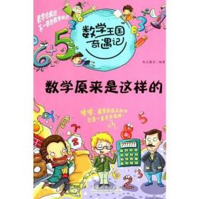 数学王国奇遇记·数学原来是这样的  正版二手9787209063531