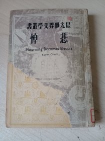 晨光世界文学丛书:悲悼