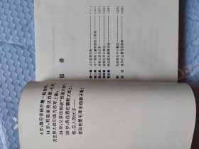 巨人之子毛岸英