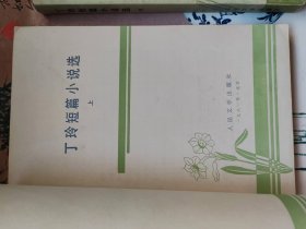 丁玲短篇小说选（上.下）