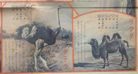 1938年七七事变侵华漫画游戏图！《日本军双六》 双面图 （七七事变-侵华日军-出征、斥候-侦查兵、陆战队-登陆、舰载高射炮、炮兵、工兵-架桥、辎重队、中日空战、机枪队、步兵、战车、骑兵、传信鸽、日军入城！动物双六游戏图！）好品相！孤品 民国游戏图！