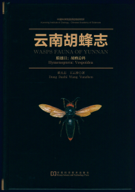 【昆虫分类学】董大志 & 王云珍 2017: 云南胡蜂志. 膜翅目：胡蜂总科.