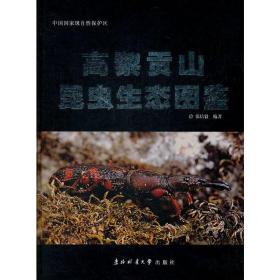 【昆虫分类学】张培毅 2011: 高黎贡山昆虫生态图鉴.