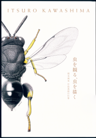 【昆虫分类学】川島逸郎 2022 虫を観る、虫を描く. 標本画家川島逸郎の仕事.