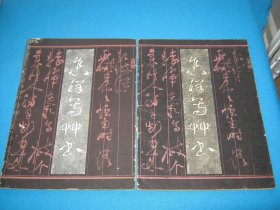 怎样写草书（低价卖）