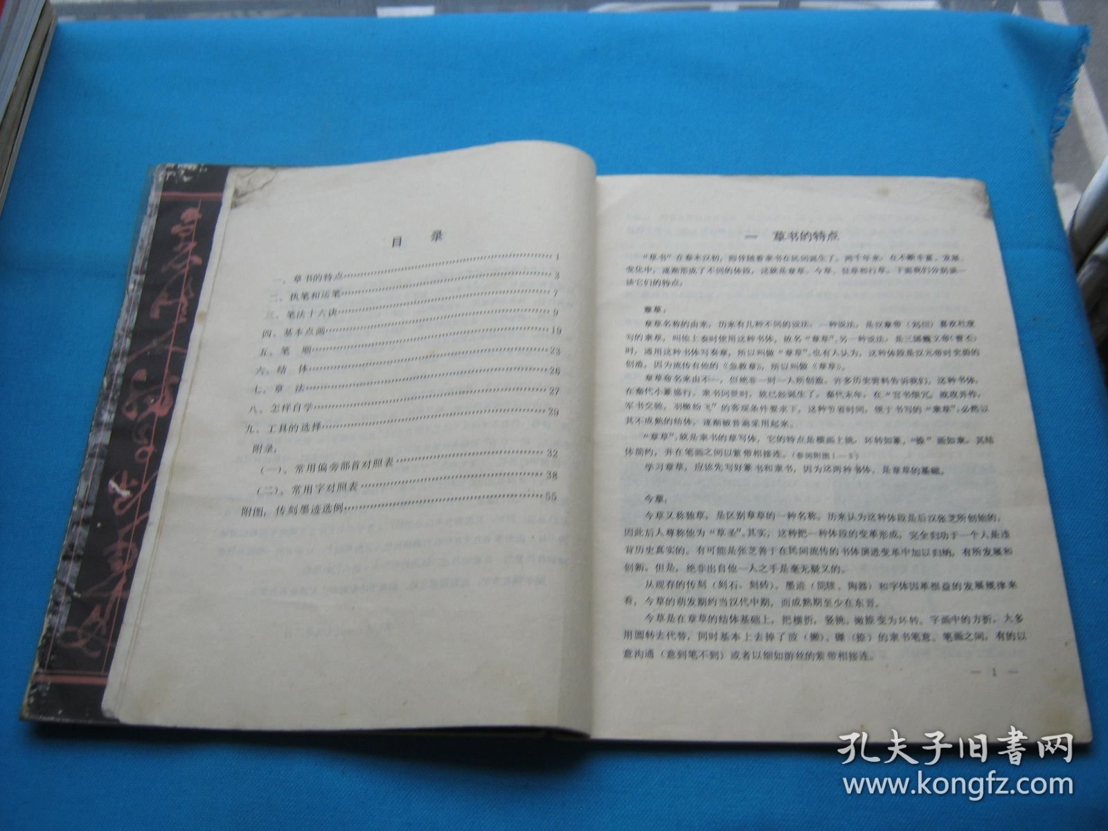 怎样写草书（低价卖）