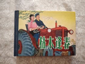 枯木逢春 连环画 精装