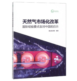 天然气市场化改革:国际经验要点及对中国的启示 石油工业出版社