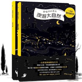 全套2册黑暗中的亮点 夜光城 夜游大自然 佩特拉巴拉提科瓦 幼儿启蒙认知绘本图画书 亲子睡前互动 发现黑夜中的大自然