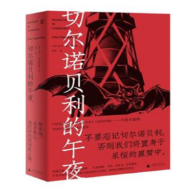 切尔诺贝利的午夜（《纽约时报》《时代周刊》年度图书）