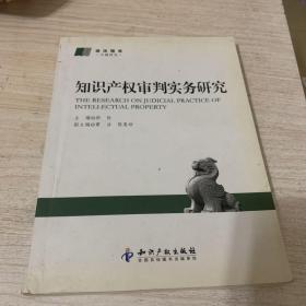 知识产权审判实务研究