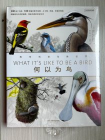 何以为鸟：西布利的鸟类世界