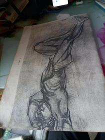 人体素描1