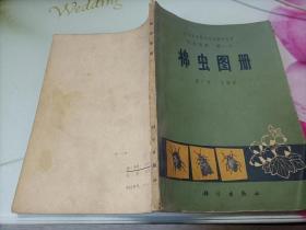 棉虫图册