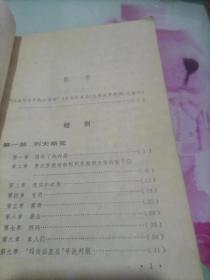 短剑 青铜鸟