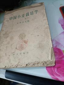 中国小麦栽培学（上册）