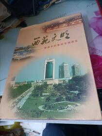 西苑文明前进中的洛阳市涧西区